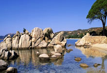 开云官网-红魔梦碎圣徒？1-1平局背后的保级狂魔与争四危局