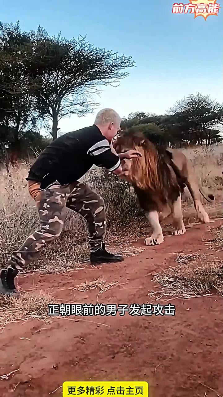 雄狮不敌对手，败北后排名下滑