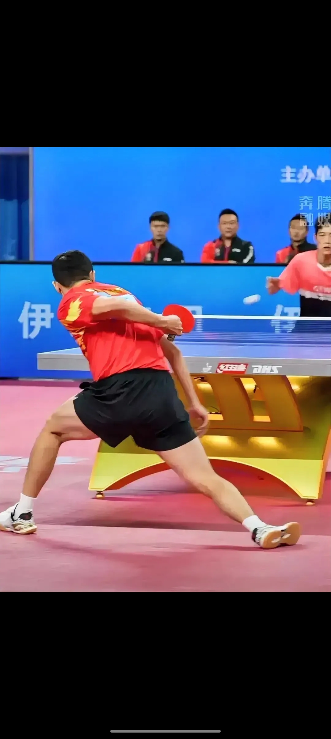 法国队碾压英格兰队，许昕高光表现的简单介绍